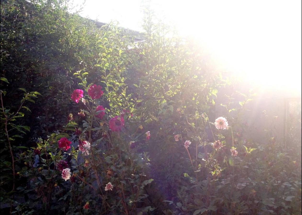 Friendly B&B Gyumri ภายนอก รูปภาพ